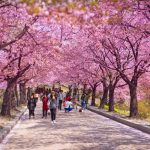 Kinh nghiệm du lịch Hàn Quốc dịp lễ 30/4 mới nhất