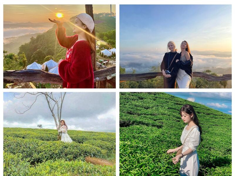 Du lịch Đà Lạt lễ 2/9 - Đừng bỏ lỡ trải nghiệm săn mây tại Đồi chè Cầu Đất