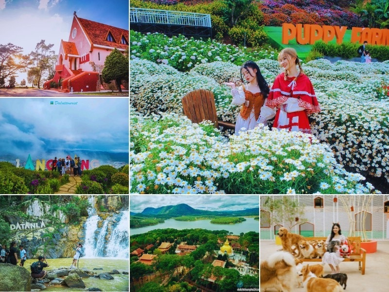 Lên ngay kế hoạch cho tour Đà Lạt lễ 2/9