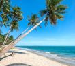 Thành phố biền Phan Thiết
