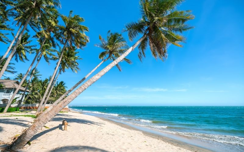 Thành phố biền Phan Thiết