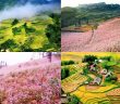 Sapa được ôm trọn bởi mùa thu