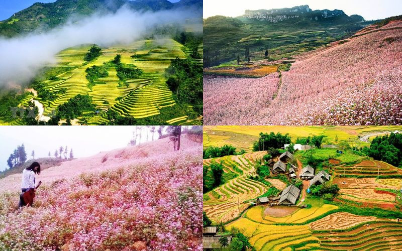 Sapa được ôm trọn bởi mùa thu