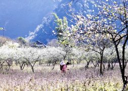 Vẻ đẹp Tà Mung vào xuân để lại ấn tượng sâu sắc