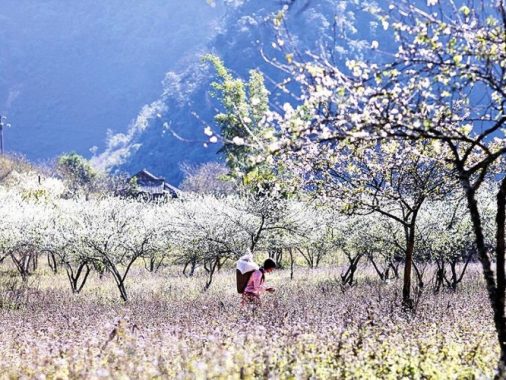 Vẻ đẹp Tà Mung vào xuân để lại ấn tượng sâu sắc