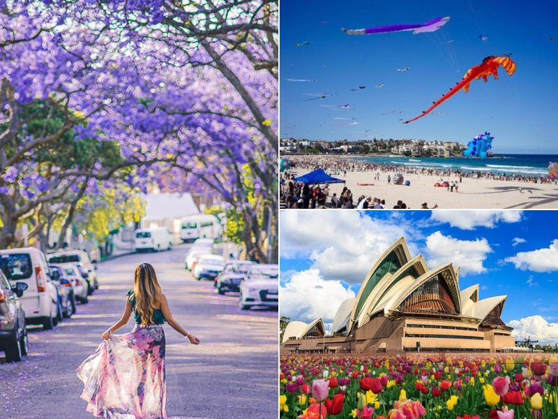 Du lịch Úc tháng 9 - thời giao giao mùa xuân Du lịch Úc tháng 9 - thời giao giao mùa xuân