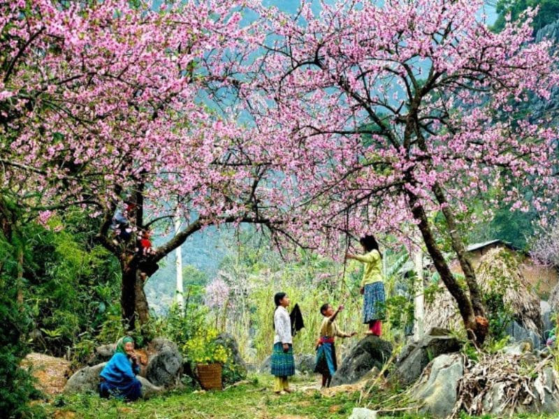 Khám phá Mộc Châu trong dáng hình tinh khôi của mùa xuân