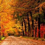 Thời tiết & cẩm nang du lịch Úc vào tháng 3/2026