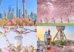 Toàn cảnh thời tiết Thượng Hải tháng 3