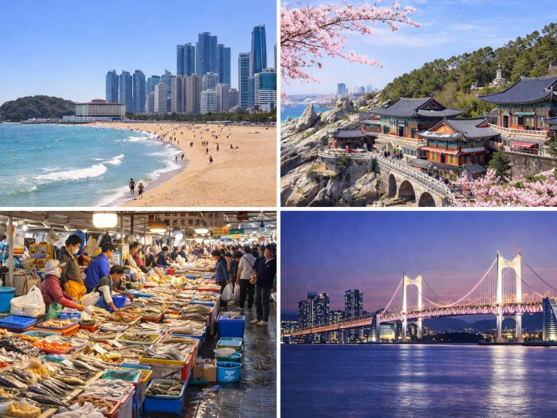 Busan, thành phố cảng sôi động của Hàn Quốc Busan, thành phố cảng sôi động của Hàn Quốc