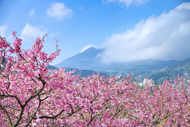 Tổng quan thời tiết Đài Loan tháng 4 Tổng quan thời tiết Đài Loan tháng 4