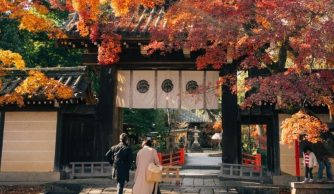 Thời tiết Nhật Bản tháng 11 rất thuận lợi cho khách tham quan