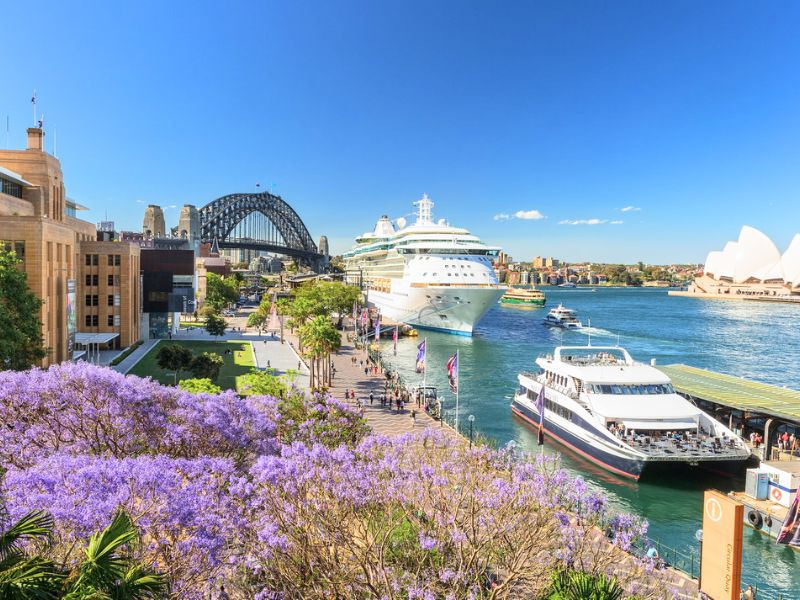 Khung cảnh xinh đẹp của Úc vào tháng 11