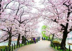 Nhật Bản vào tháng 5