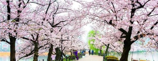 Nhật Bản vào tháng 5