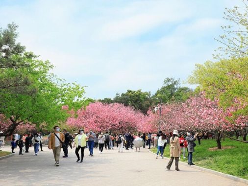 Thời tiết tháng 5 ở Thượng Hải