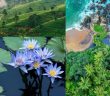 Sri Lanka là điểm đến nổi bật của du lịch châu Á