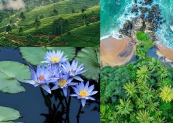 Sri Lanka là điểm đến nổi bật của du lịch châu Á