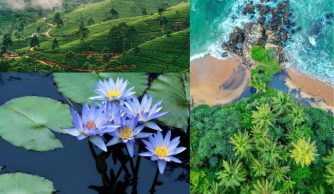 Sri Lanka là điểm đến nổi bật của du lịch châu Á