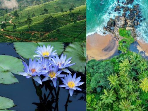 Sri Lanka là điểm đến nổi bật của du lịch châu Á