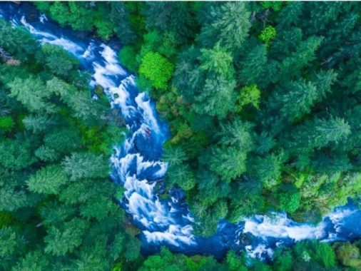 Toàn cảnh Hồ Kaindy với khu rừng chìm giữa dãy Tian Shan