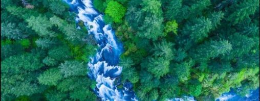 Toàn cảnh Hồ Kaindy với khu rừng chìm giữa dãy Tian Shan